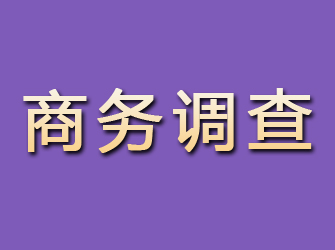 江口商务调查